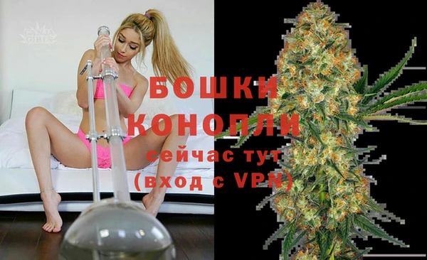 индика Баксан
