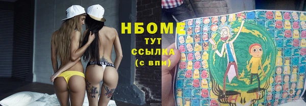 индика Баксан
