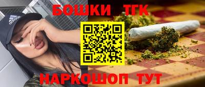 стафф Гатчина