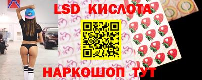 стафф Гатчина