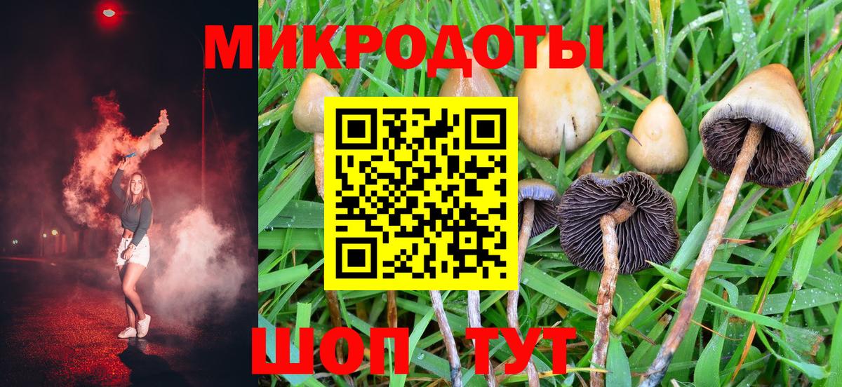 купить  цена  Галлюциногенные грибы ЛСД  Вход с VPN  Псилоцибиновые грибы Magic Shrooms  Губкинский 